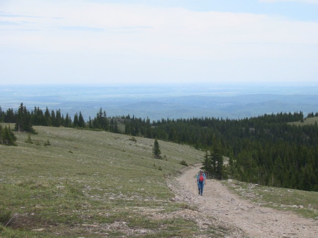 Hiking Moose Mountain