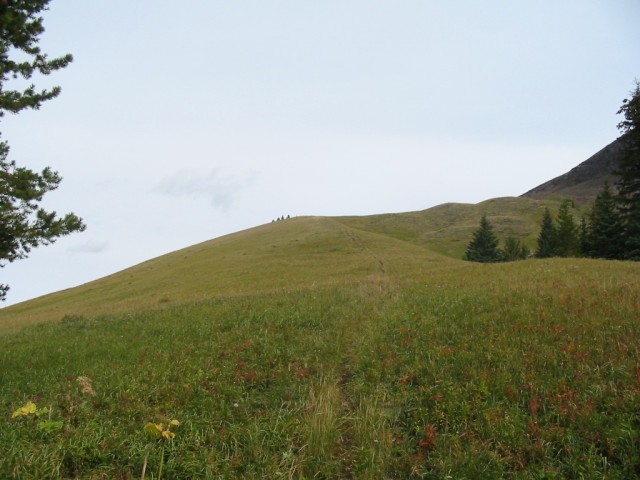 Pigeon Mountain meadows