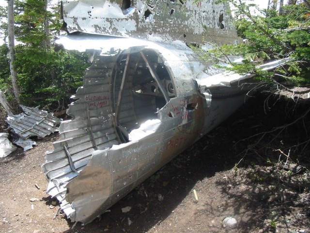 Crashed DC-3 tail