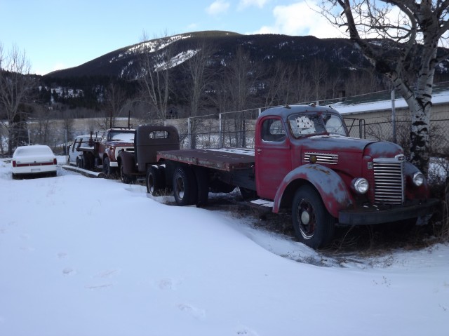 Old truck line up