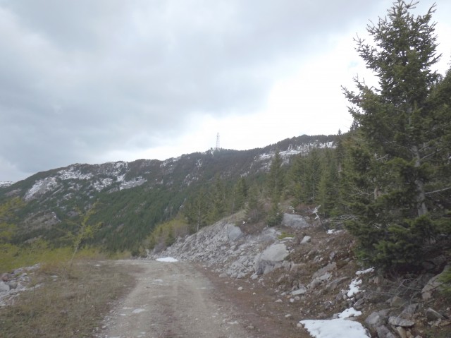 Ridge at Phillipps Pass