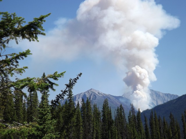 Simpson River forest fire