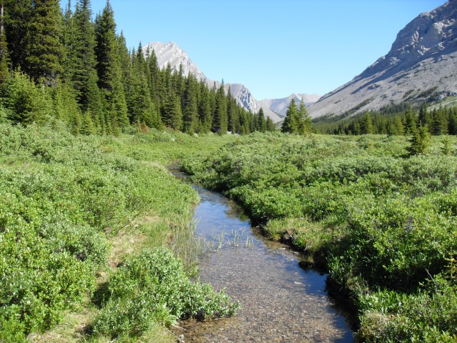 Elbow River headwaters