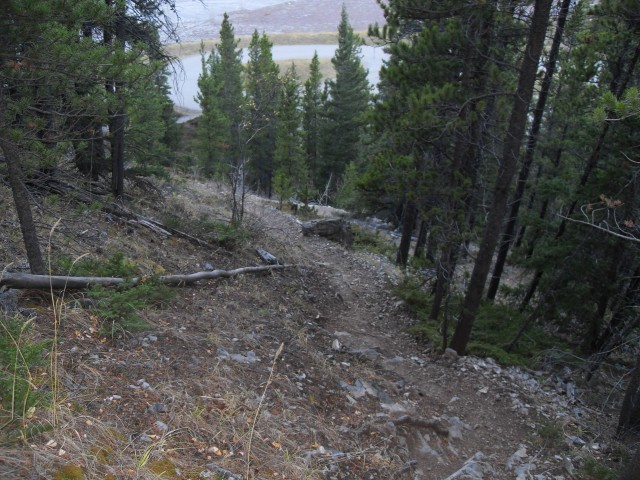 Wasootch Ridge trail