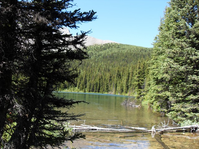 Outlet of Tombstone Lake