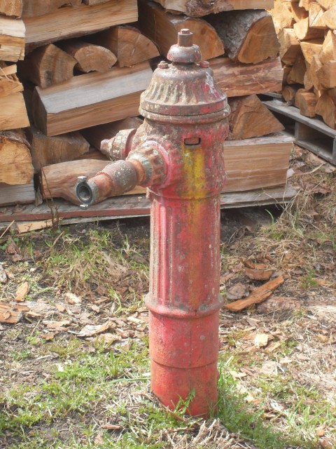 Trout Lake fire hydrant