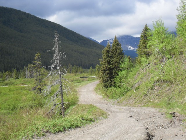Cataract Creek trail