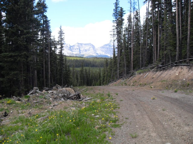 Cataract Creek road