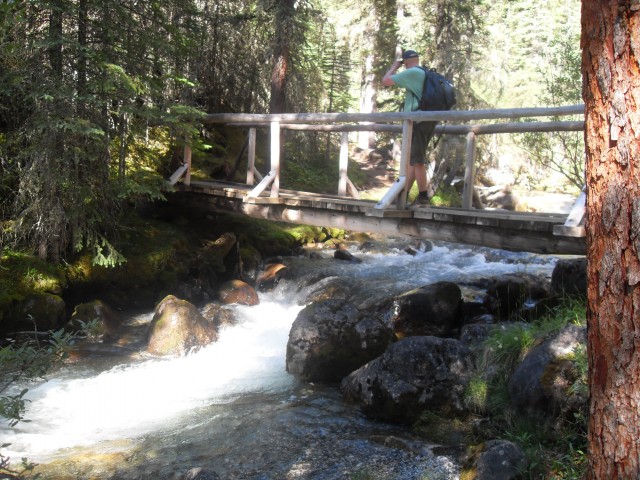 Lillian Lake trail