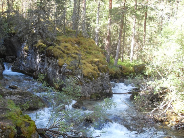 Galatea Creek