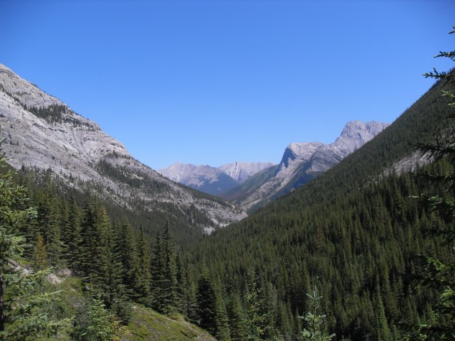 Galatea Creek valley