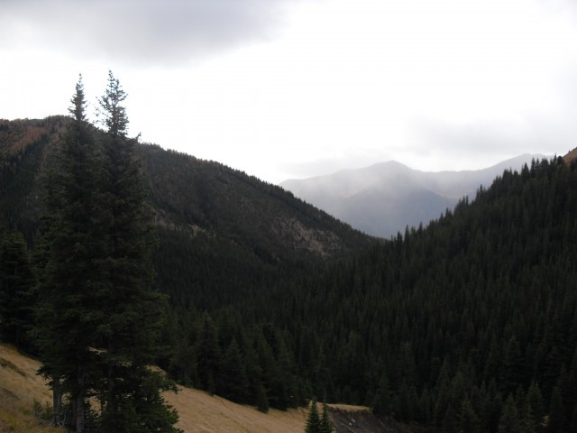 Hiking Mist Ridge
