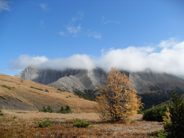 Fall colours Mist Ridge
