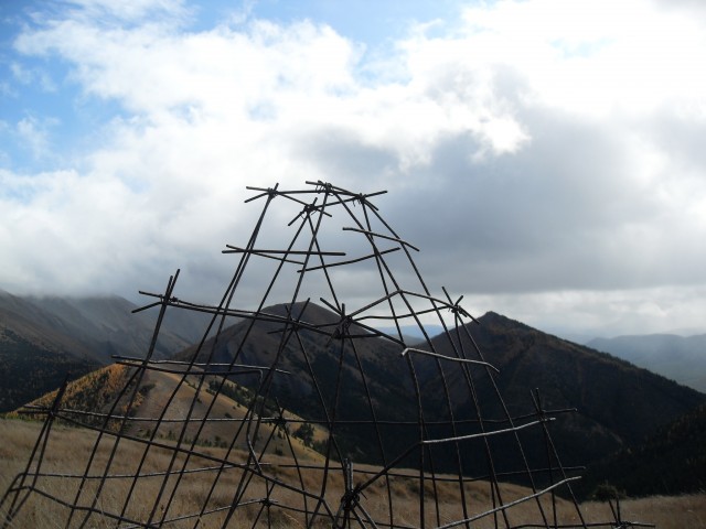 Odd cage Mist Ridge