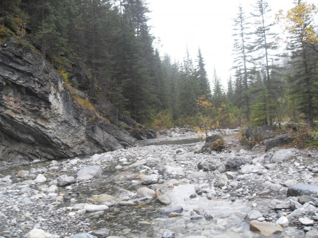 Cougar Creek hike