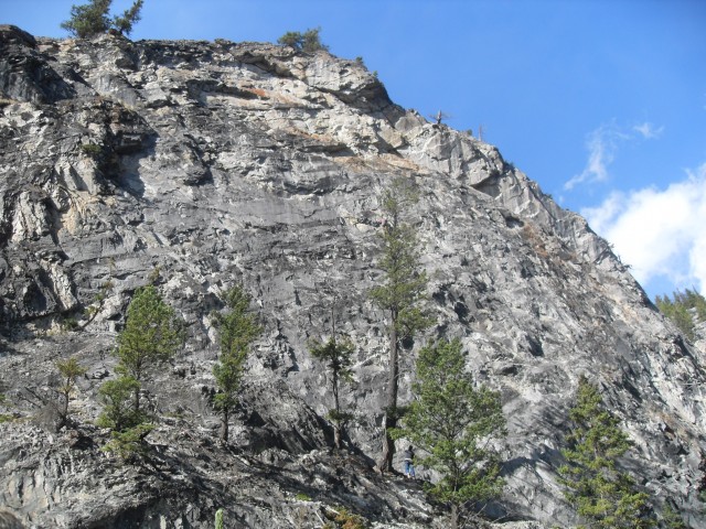 Climbing Cougar Creek