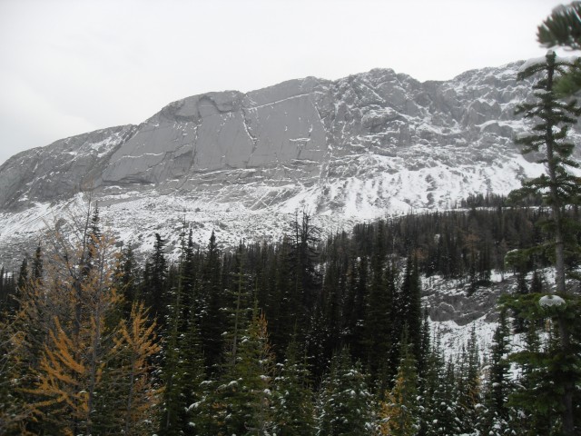 Whistling Ridge Bustall Pass