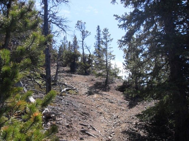 Deer Ridge trail