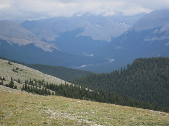 Views Forgetmenot Ridge