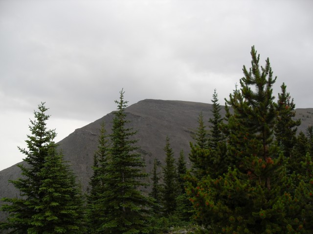 North summit Forgetmenot Ridge