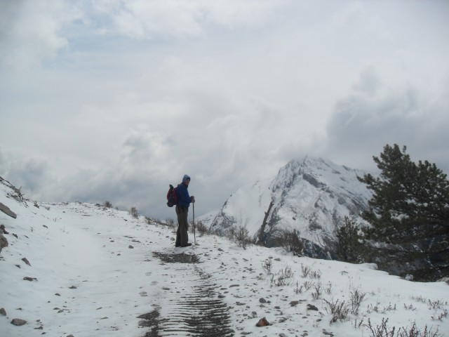 Ridge at Crownsnest Pass 