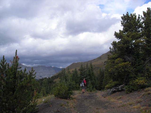 Mt Lipsett trail