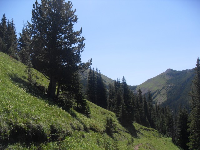 Exploration road Mist Ridge 
