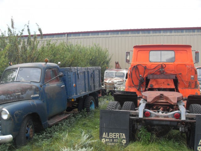 Lots of old trucks