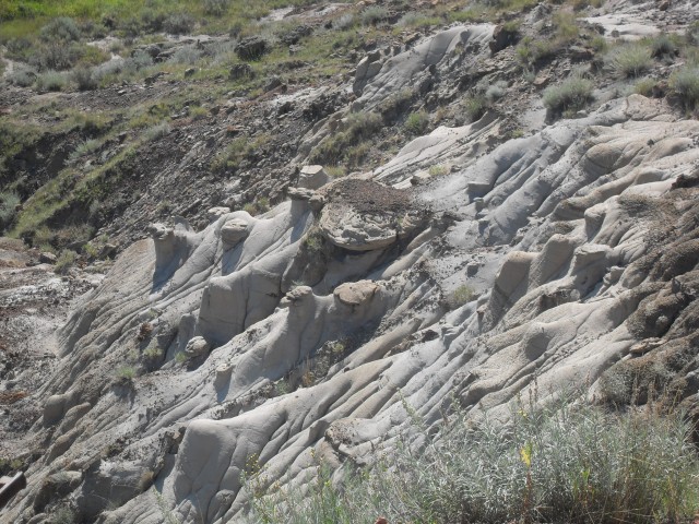 Red Deer River formations