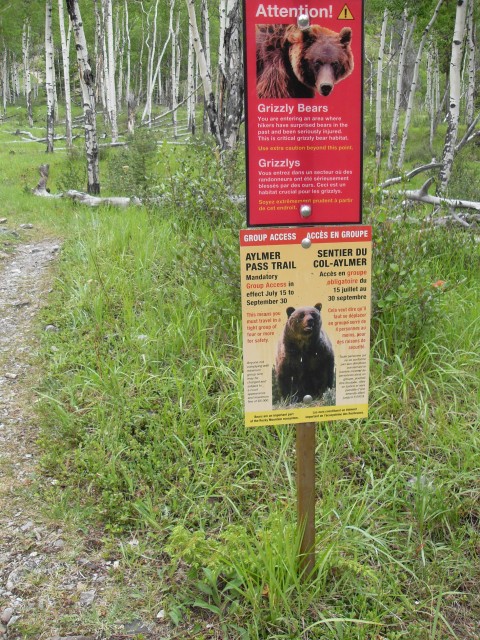 Bear warning Banff Park