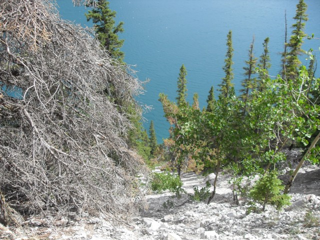 Lake Minnewanka hiking trail