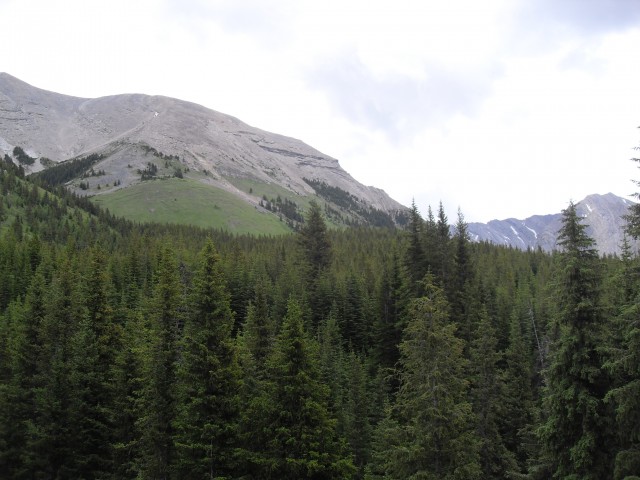 Picklejar Ridge trail