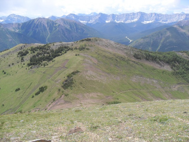 Picklejar Ridge summit