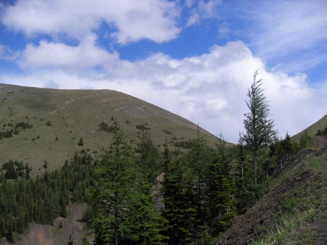 Picklejar Ridge