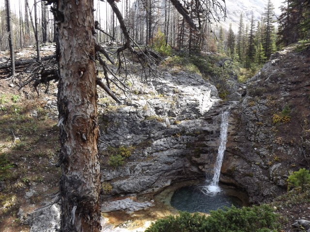Waterfall Buller Pass