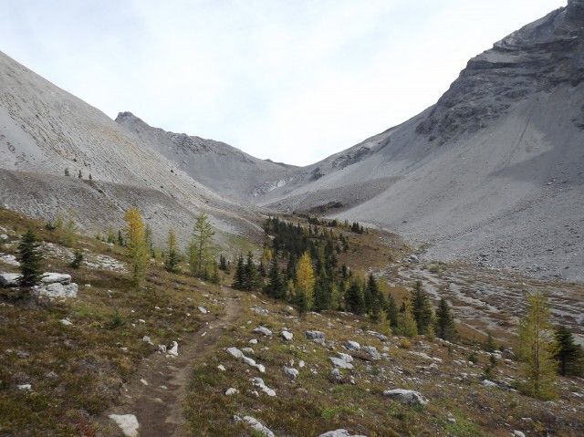 Trail Buller Pass