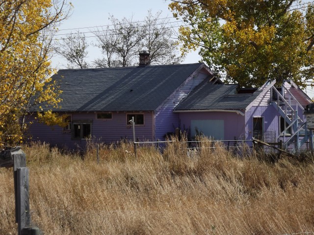 Herronton purple house