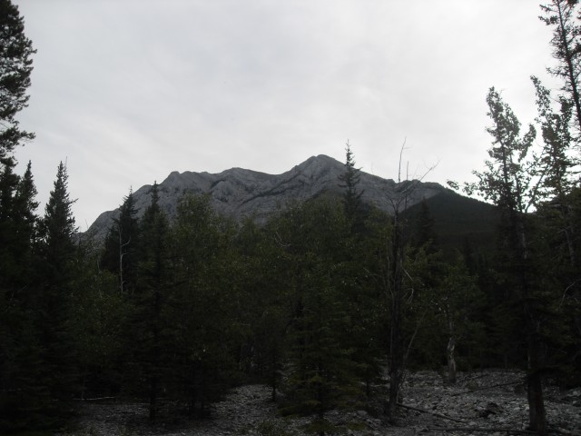 Wasootch Peak