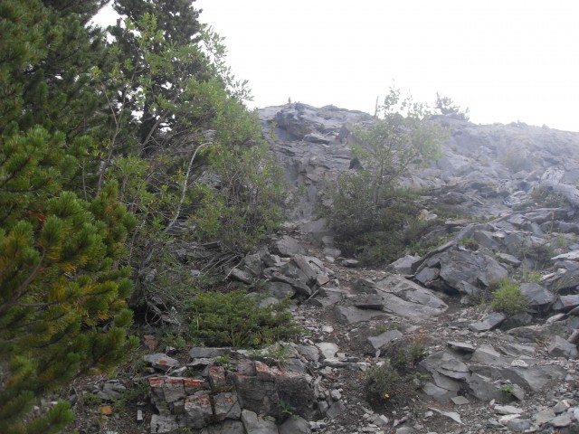 Wasootch Peak trail