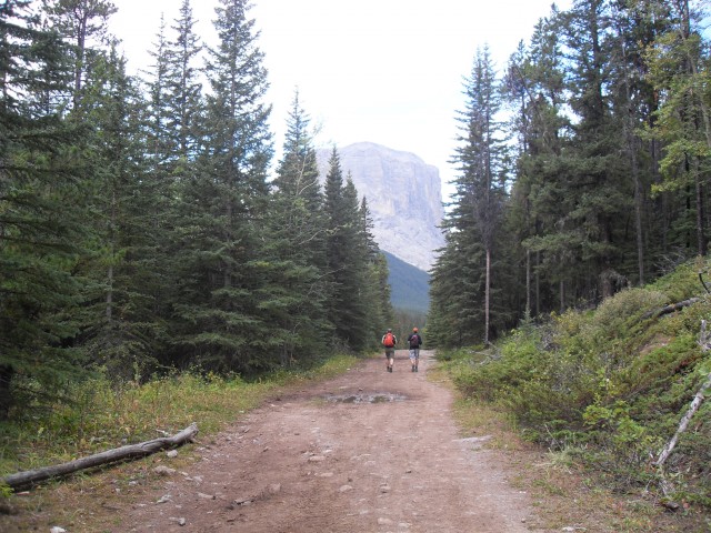 Sheep Trail hike