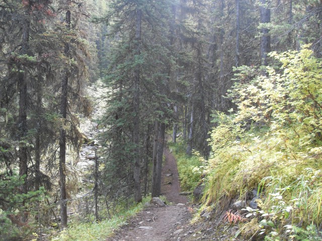 Buller Pass trail