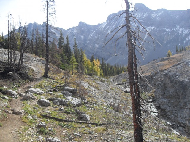 Hiking Buller Pass