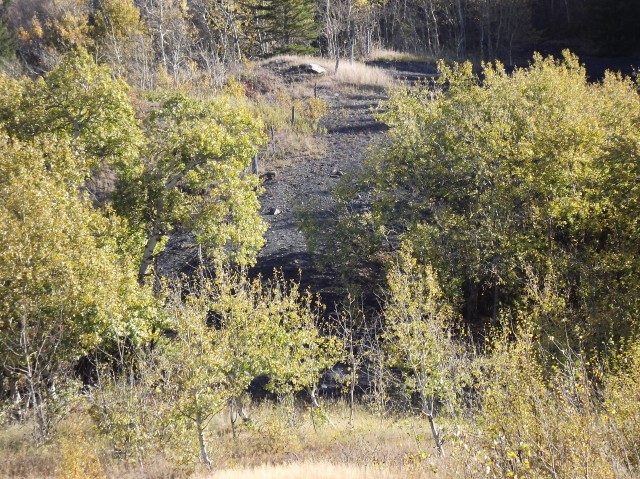 Beaver Mines Alberta