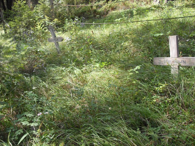 Grave Fisherville BC