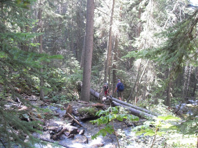 Sunken/Lost Creek trail