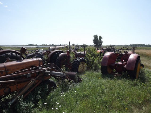 Field of tractors