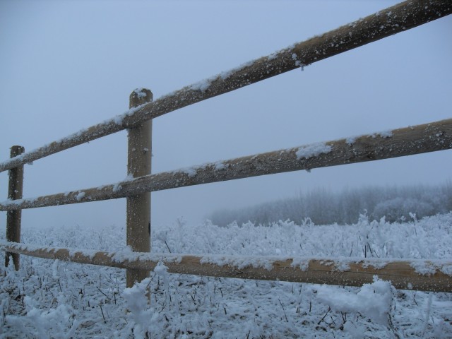 Winter fence Turner Valley