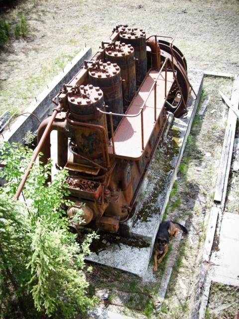 FM Engine