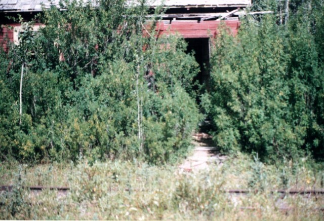 Overgrown shed