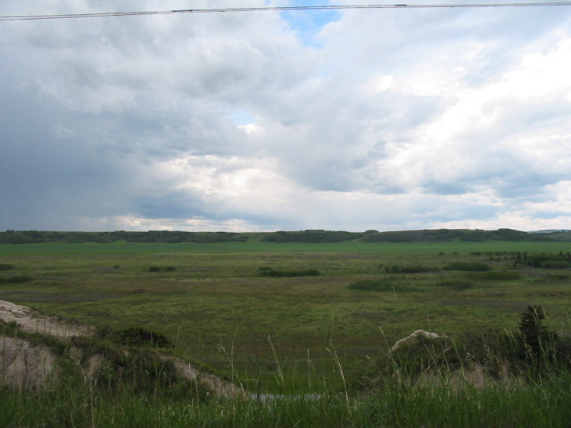 Pastures and prairies